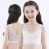 Teenage underwear students development period cotton bra junior high school students 12-14-16 years old spring and summer thin girl big boy vest
