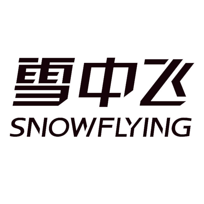 雪中飞正品童装店