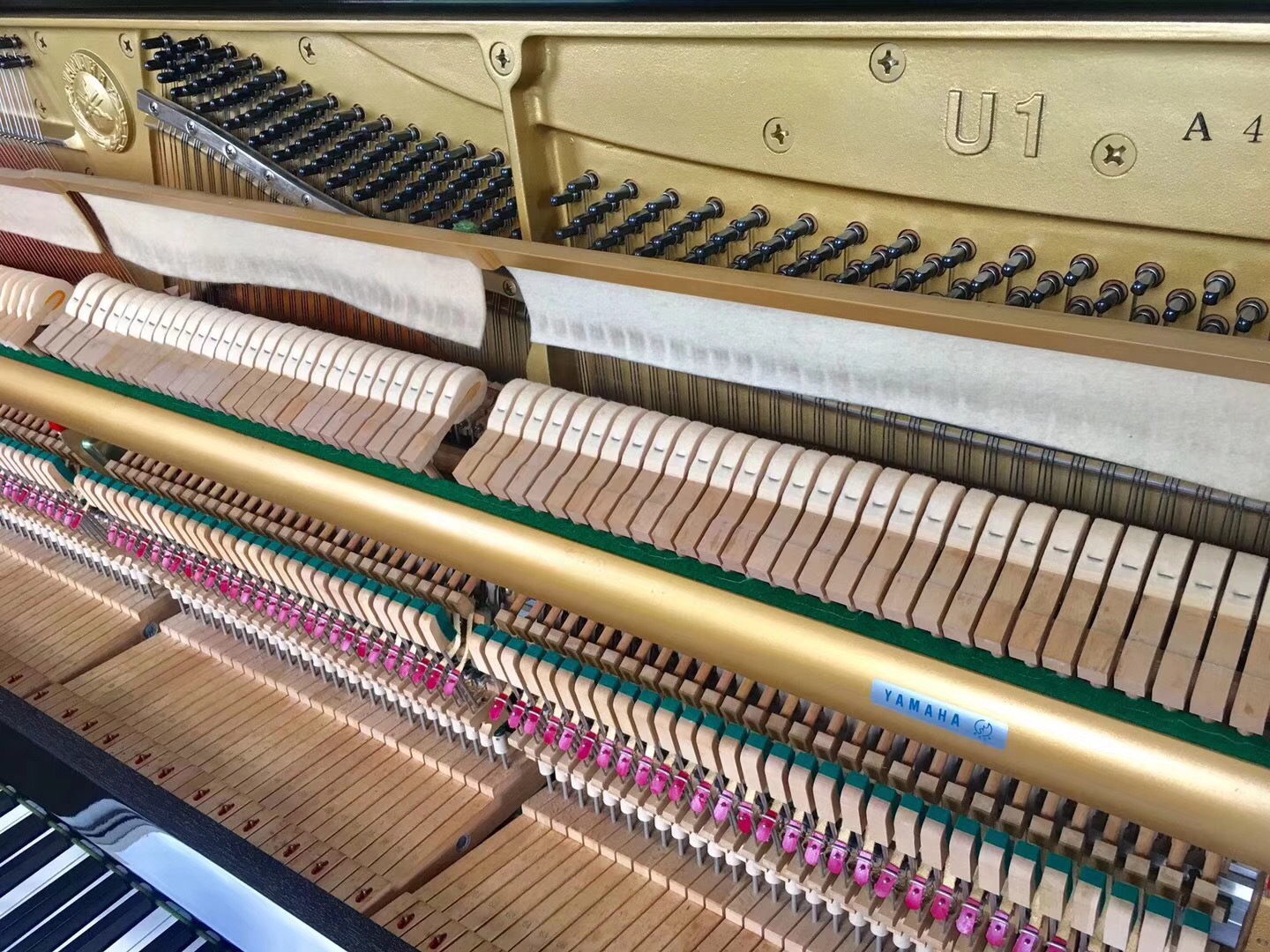 Nhật Bản nhập khẩu đàn piano thẳng đứng Yamaha U1A dành cho người lớn mới bắt đầu chơi thử roland rp30