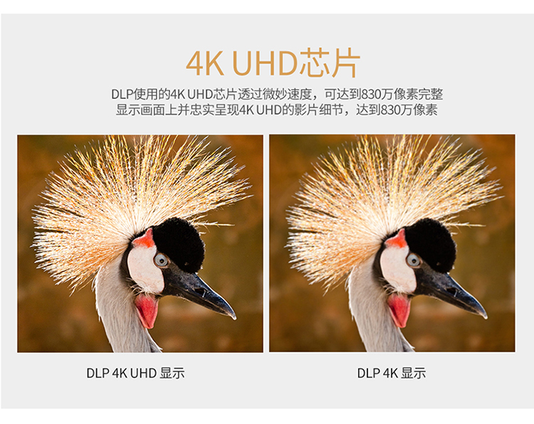 Máy tính Optoma 4K UHD520 máy móc thiết bị âm thanh UHD566