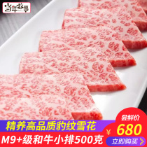 The story of the year M9 grade Wagyu beef steak fresh 500g Australian Purebred imported raw cut snowflake steak beef