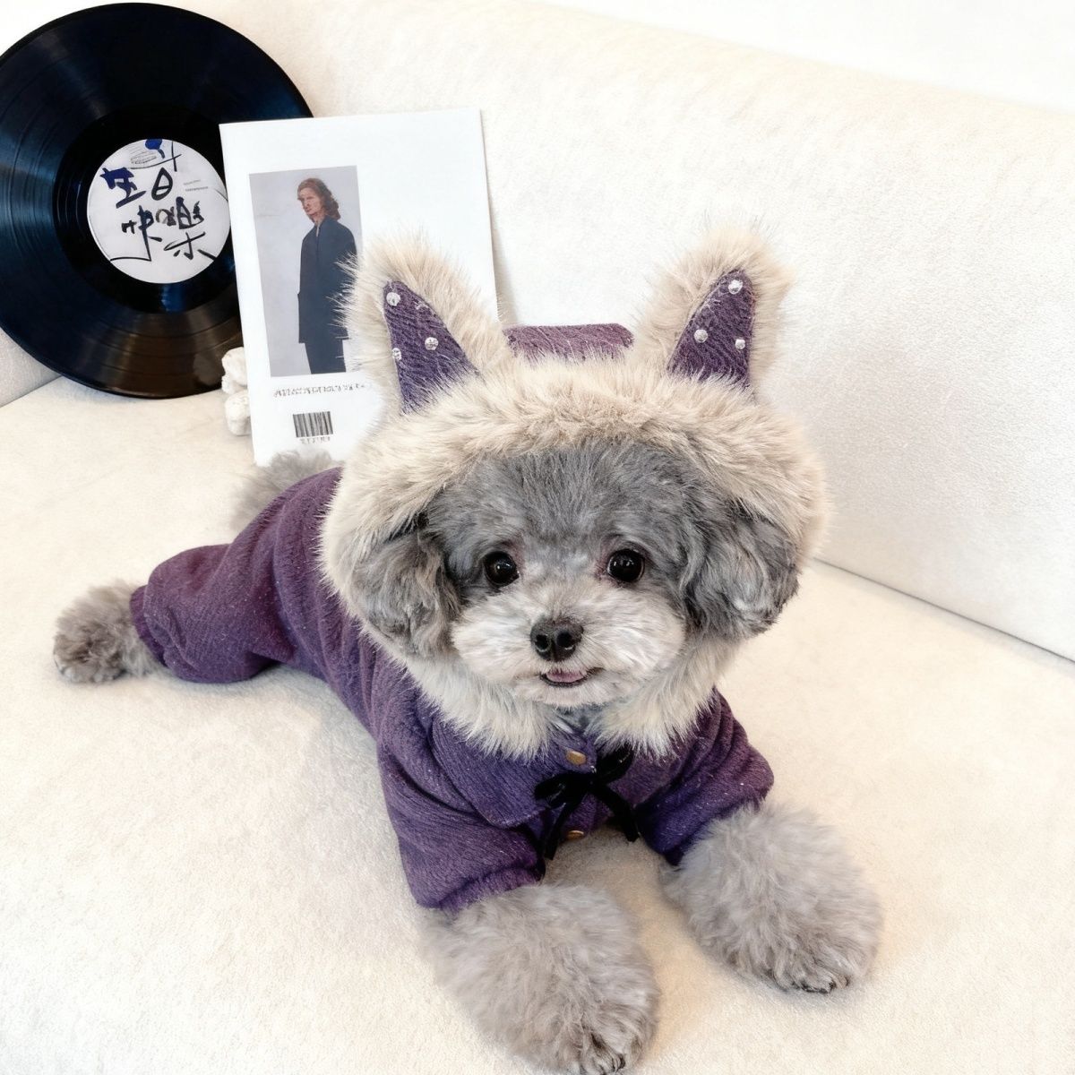 冬季宠物小狗狗圣诞衣服及秋冬比熊西高地小型犬冬装解析