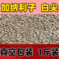 Ghana Lizi tiger skin peony Parrot Bird Food white pointed bird food pigeon food supplies 500 grams full of five Jin