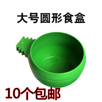 Egg millet health care sand round bird food box round bowl pigeon trough Cup parrot supplies bird food bowl water bowl