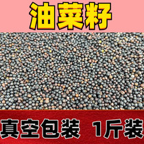 Rapeseed bird feed parrot hibiscus bird jade bird jade bird birds veneur golden silk birds food dove 1 cati vacuum