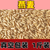 Oat wheat kernel rice Parrot bird food feed bird grain Finch wheat wild wheat tiger skin peony Xuanfeng pigeon food 1kg vacuum