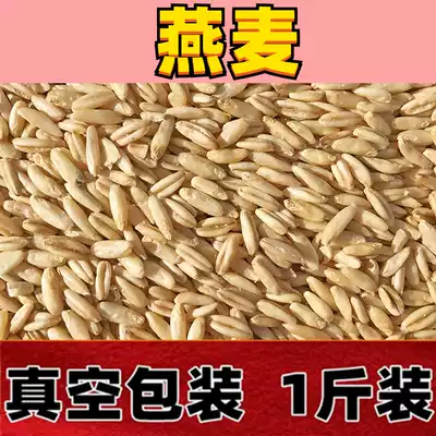 Oat kernel rice Parrot bird food feed Bird food Bird grain Bird wheat Wild wheat Tiger skin Peony Xuanfeng pigeon food 1 catty vacuum