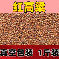 With shell red high beam rice China parrot bird food hamster with zero food dove feed 1 catty of five catties