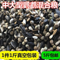 Medium Large Parrot Mixed Grain Sun Monk Sublime grey Parrot sunflower Sunflower Feed Bird Grain 1 catty