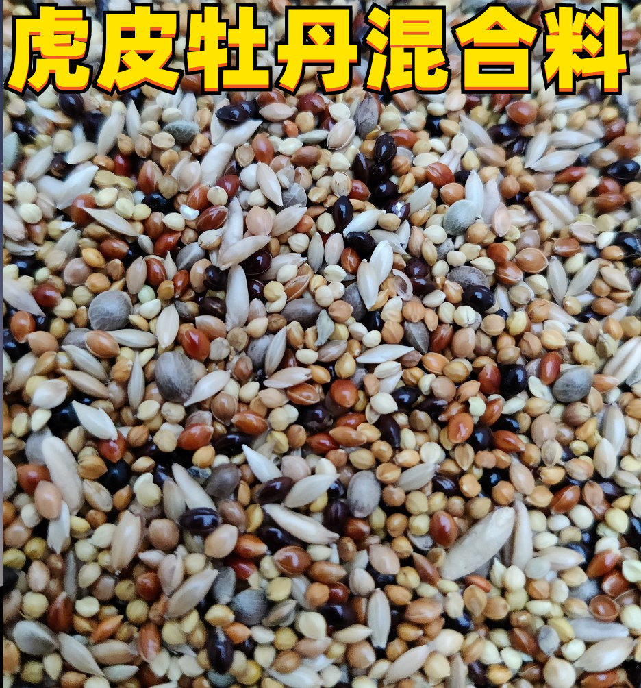 Small and medium parrot bird food feed 8 colors red millet tiger leather peony parrot mixed Wen bird hibiscus bird bird food