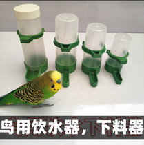 Bird drinking fountain automatic feeder starlings parrot anti-bird food box feeding water drinker bird cage Accessories Supplies