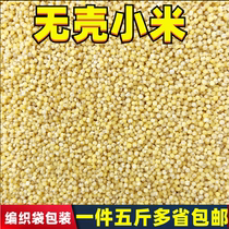 Shell-free millet Millet Bird Pearl bird tiger skin bird tiger skin bird food feed egg millet raw material 5 pieces