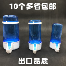 Parrot 8 Gothic Venebird believers pigeon birds with automatic water drinkers to feed water feeders to bird-cage accessories