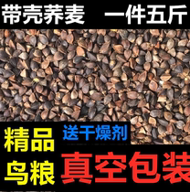 Bird Grain Buckwheat With Shell Pet Hamster Grain Dove Grain Dove Grain Mysterious Tiger Leather Peony Parrot Feed 5 Cati Vacuum Packing