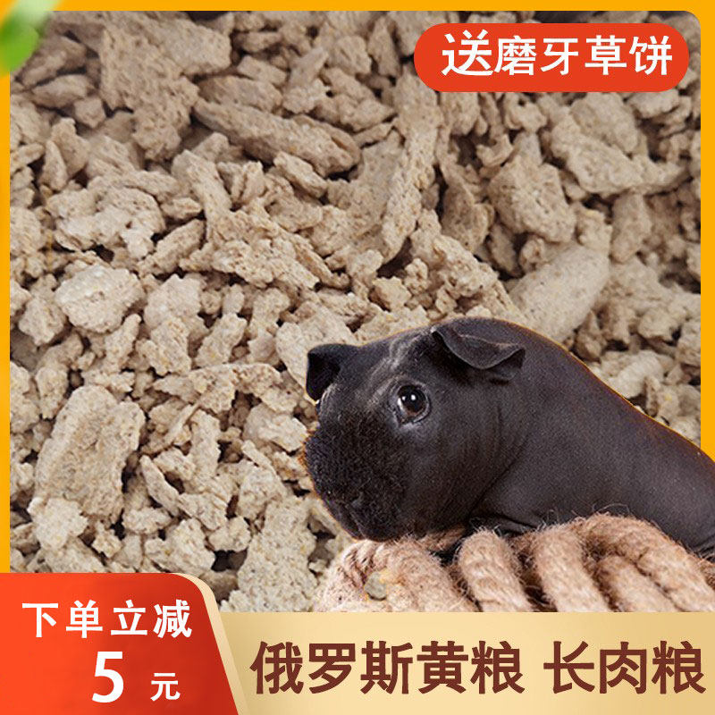 Russian yellow grain no woolen dolphin small river horse feed staple food gain grain no woolen pig grain Dutch pig grain guinea pig grain