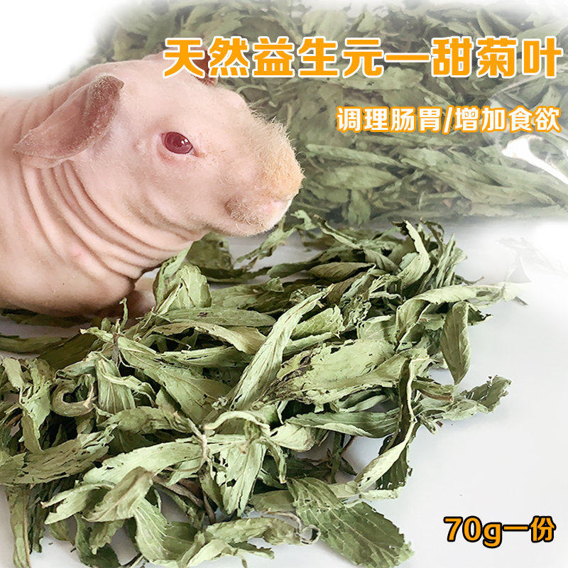 Natural prebiotic stevia leaves promote digestion restoration of gut microbiome Dutch pork and rats rabbit gut regulation