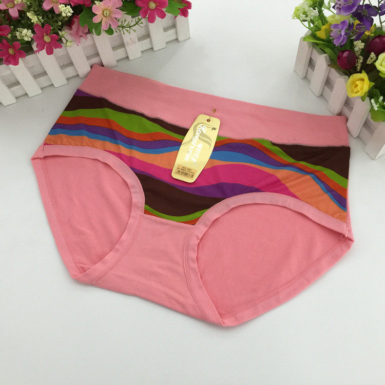 Slip Moyen-âge simple en coton - Ref 653925 Image 9