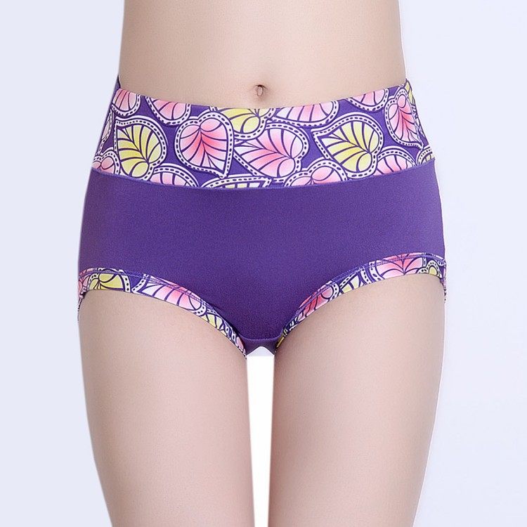 Slip Moyen-âge simple en coton - Ref 653830 Image 13