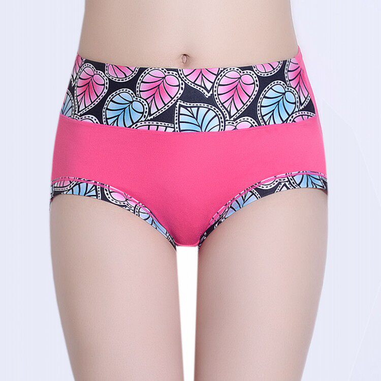 Slip Moyen-âge simple en coton - Ref 653830 Image 8