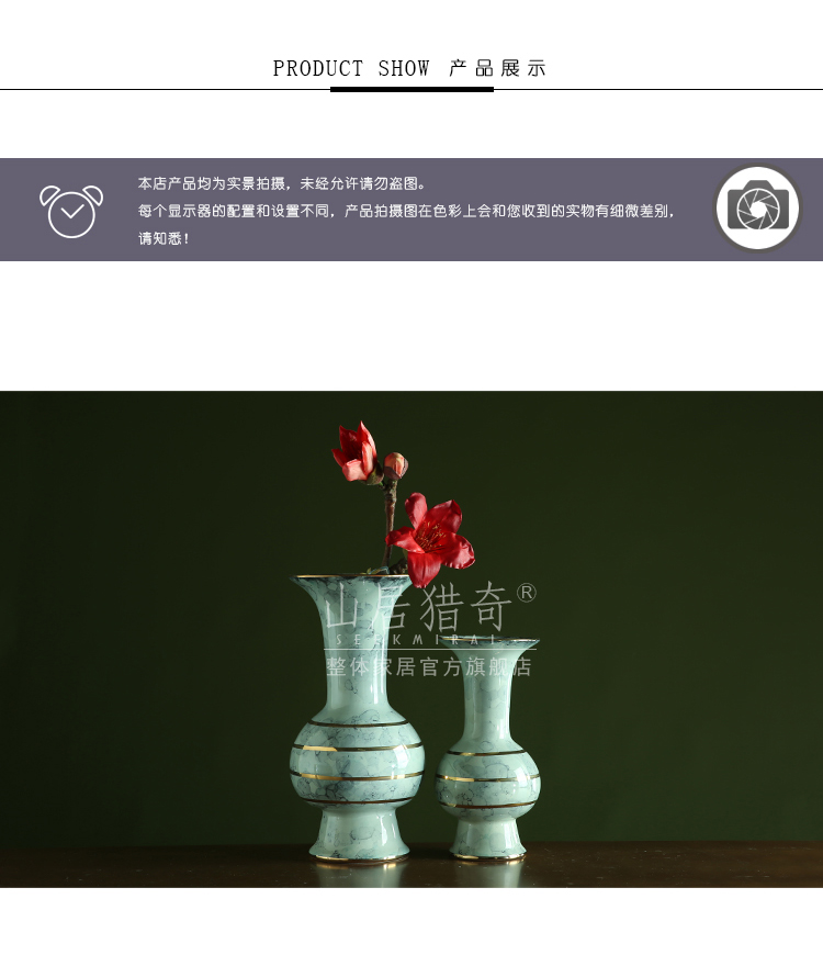 American light see colour up ceramic flower vases modern Chinese style key-2 luxury soft outfit TV ark, the table decoration flowers