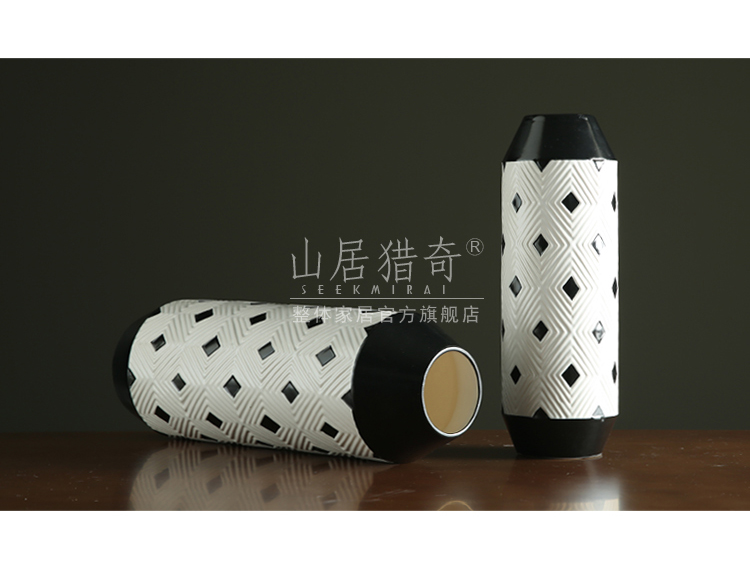 I and contracted sitting room between black and white ceramic floret bottle example table flower arranging flower implement American household soft adornment