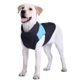 Веселая собачья одежда зима большая собака само золотисто -ретривер увы