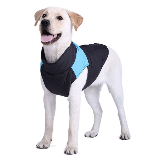 Веселая собачья одежда зима большая собака само золотисто -ретривер увы