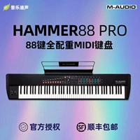 M-Audio Hammer88 Pro 88 КЛЮЧ КЛЮС