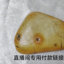 Dawan Stone Large Fossil Fengling Stone Gobi Stone