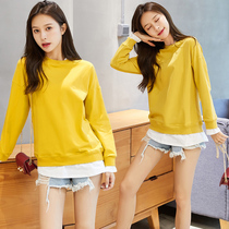 Sweater womens 2021 new spring and autumn thin mid-length loose Korean ins super fire cec fake two-piece lazy trend