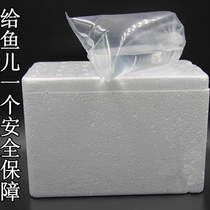 Foam box transport insulation warm baby Aquarium Live tropical fish Ornamental fish shrimp Xiling Aquarium