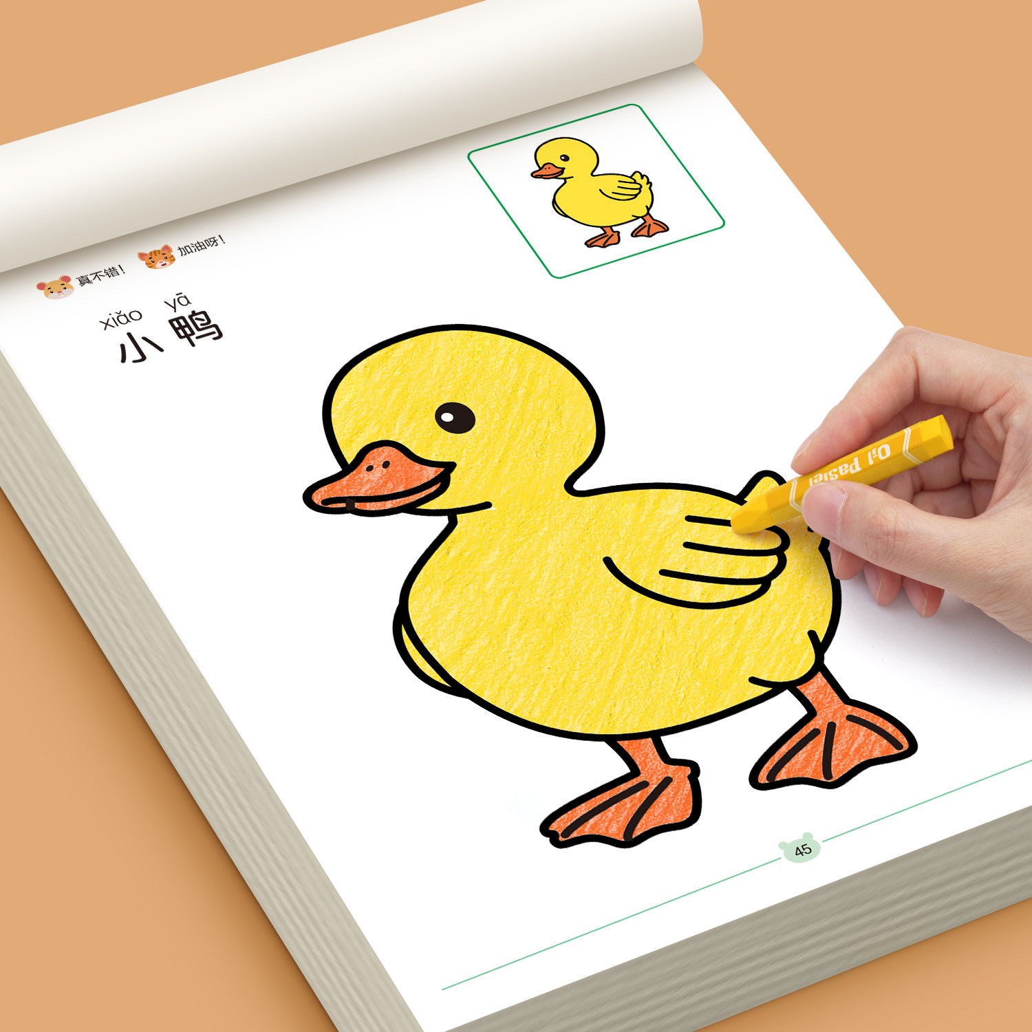 幼児向け塗り絵、子供のお絵かき学習、塗り絵と落書き、幼稚園児向け塗り絵、3～6歳向けお絵かき帳