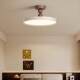Bedroom Study Ceiling Lamp, Antique Style Walnut Color Full Spectrum Eye Protection Floating Lamp, Personalized Retro Lamp