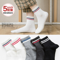 Two-bar Korean version of the Korean version of the Korean version of the sock children's cotton thigh