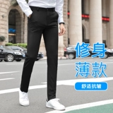 Тонкие эластичные штаны, свободный прямой крой