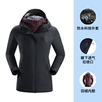 Мужской KG110366 Deep Blue 【Tag 1288】