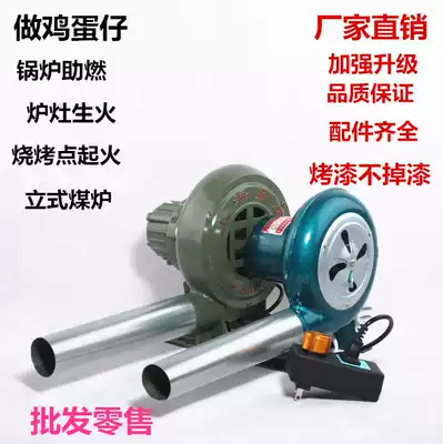 Household blower stove small barbecue stove electric cast iron egg cub 220V combustion powerful artifact