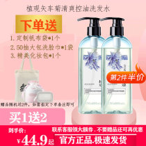 Plant Viewing Vector Chamomile Amino Acid Shampoo Dew-Free Silicone Oil Scalp Control Oil Clear To Oil Type Wash Head Water Men And Women Positive