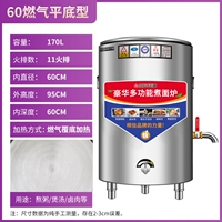 Тип 60/170L Газовый плоский нижний тип