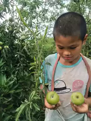 Hunan province in Qidong county tahan tang Kuang xia qing nai li 40 yuan 5 catties