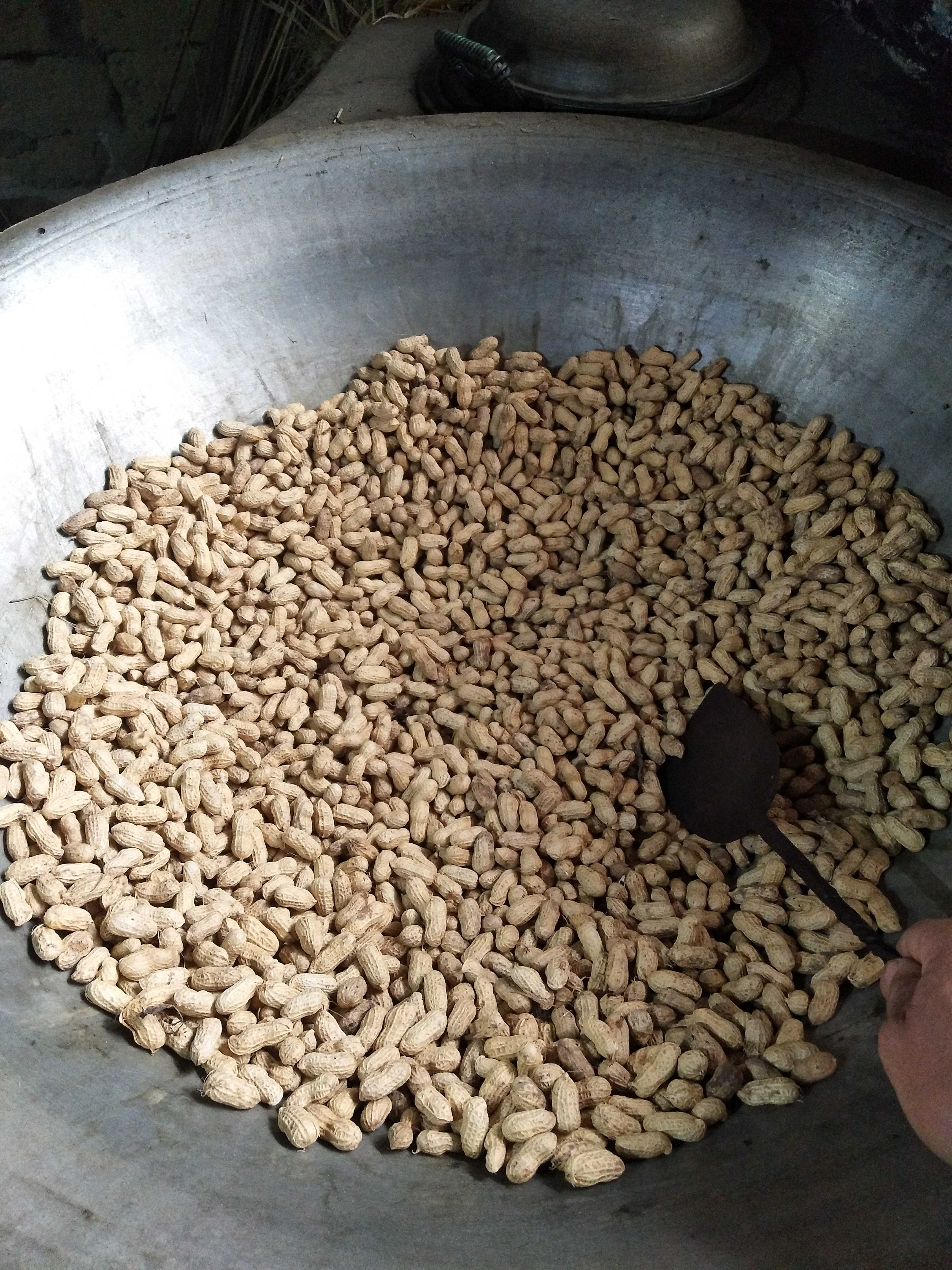 Hunan Qidong Kuang Xia Qing firewood fried self-grown organic fragrant peanuts 29 7 yuan 3 pounds