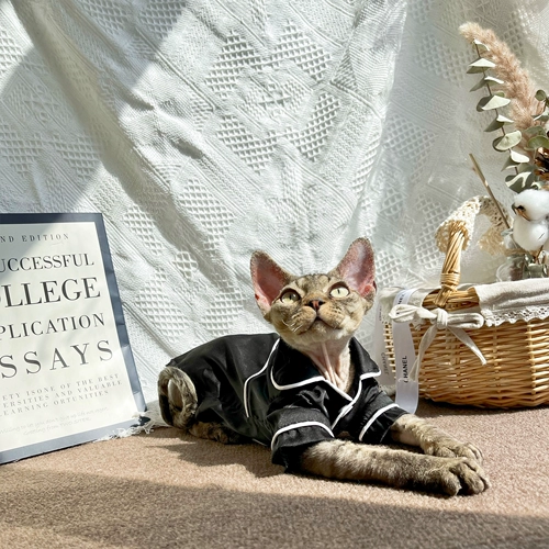 Ренфакай безволосая кошачья одежда Сфинкс Девин Ультратонкая шелковая пижама весной и летом новые продукты прохладные, но не аллергические