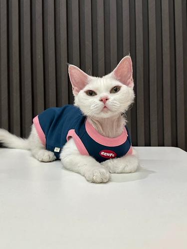 Ren Facai Оригинальный модный жилет чистый хлопок безволосая одежда для кошачьи одежды Dewen Одежда Sphinx Cat милый