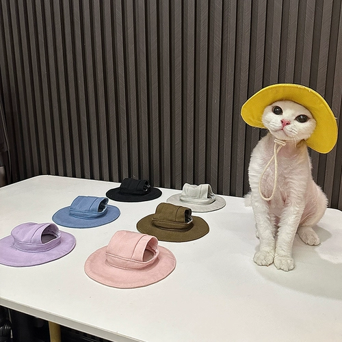 Renfacai Classic Basic Sun Stat