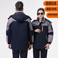 Тибетский голубой пепел