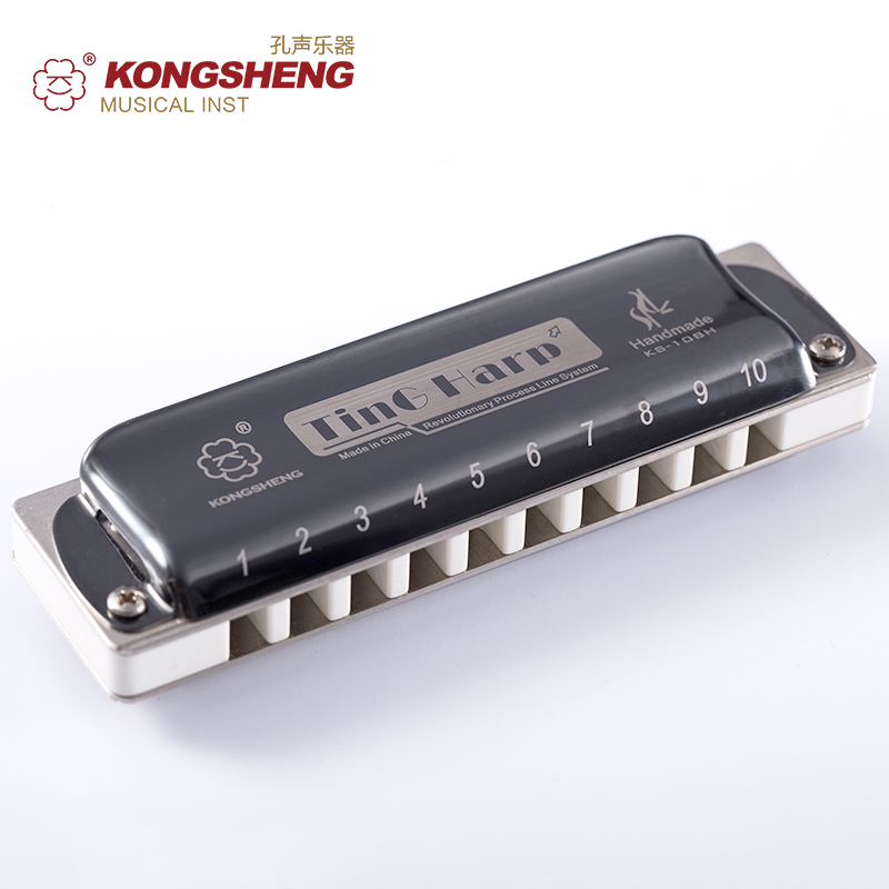 Hole Sound 10 holes Blues harmonica Blues Blues ten holes Professional promotion to the playing adult High harmonica Percussion Instrument