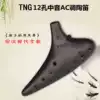 Taiwan tng Ocarina 12-hole AC alto C tone Beginner introduction 12-hole Ocarina Advanced musical instrument Flute Yang pottery instrument