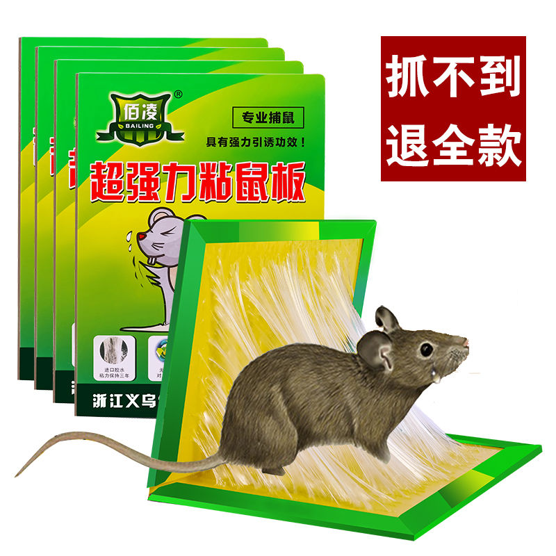 Super power sticky rat plate catching and large rat stick with glue to catch the rat-rat-trap god-ware super-powerful home end of the day