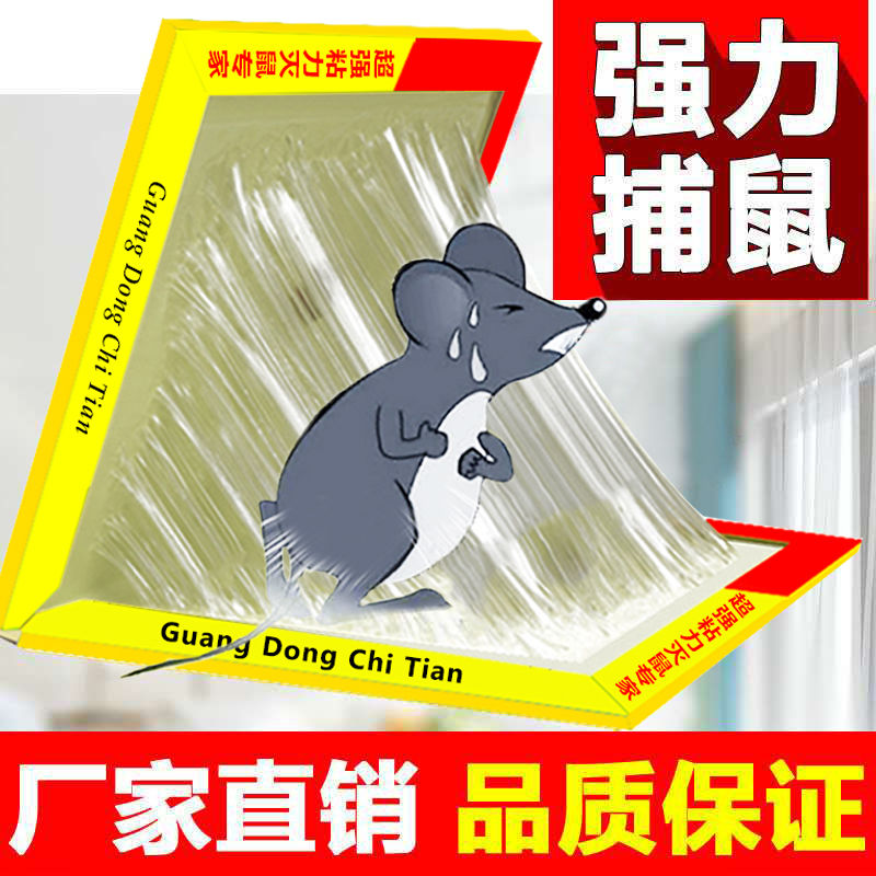 Mouse sticky strong sticky mouse board to catch sticky big mouse sticker glued to catch super rodent home mouse trap artifact mouse clip