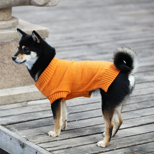 Одежда для щенков осенью и зимняя плюшевая Корки Медведь Фа Бюмей маленькая головоломка